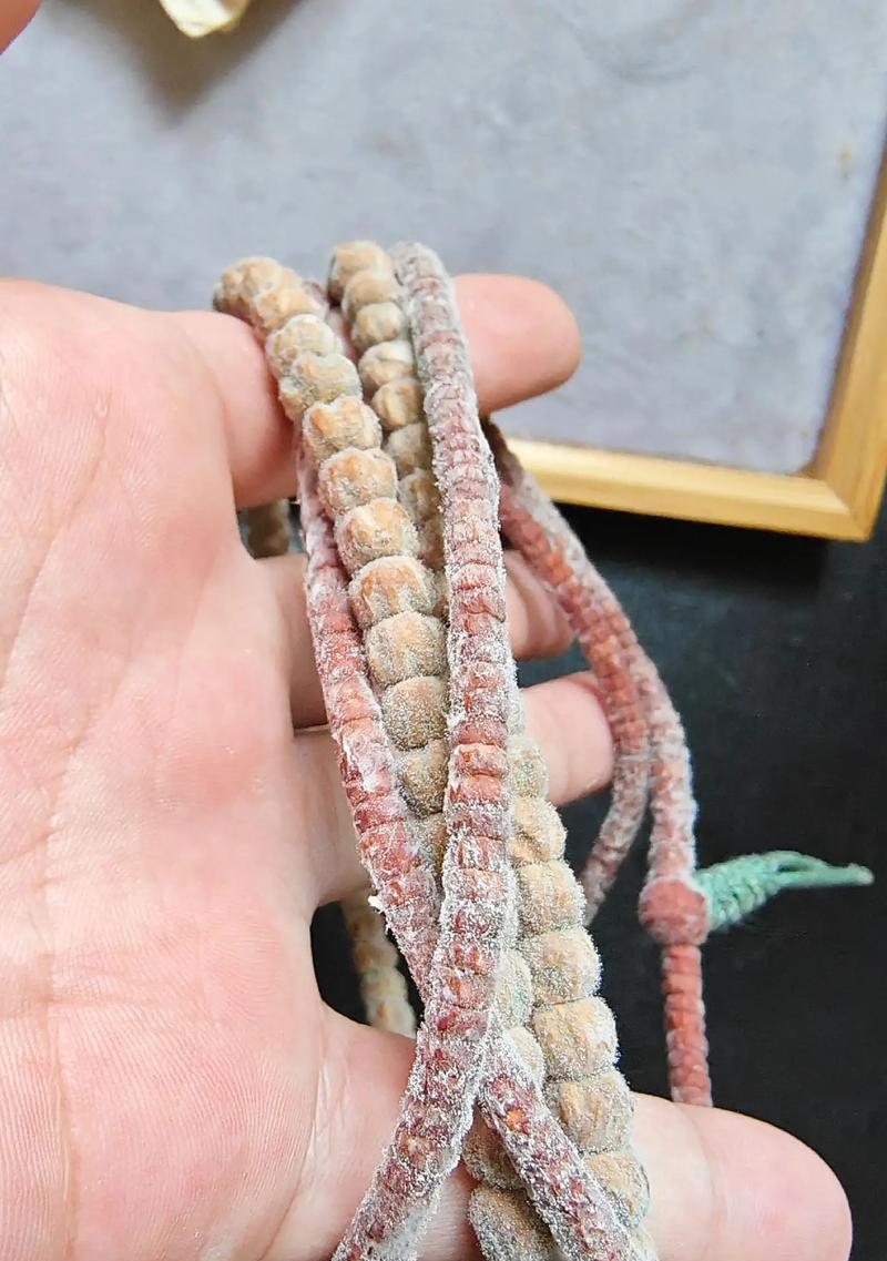 百香籽需要催芽吗？如何正确养护百香籽？