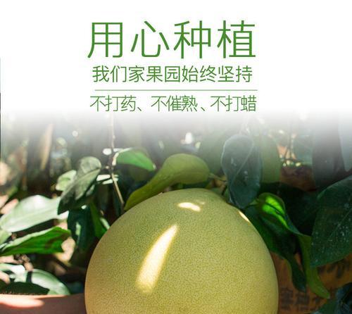 蜜柚子催芽最快的方法是什么？