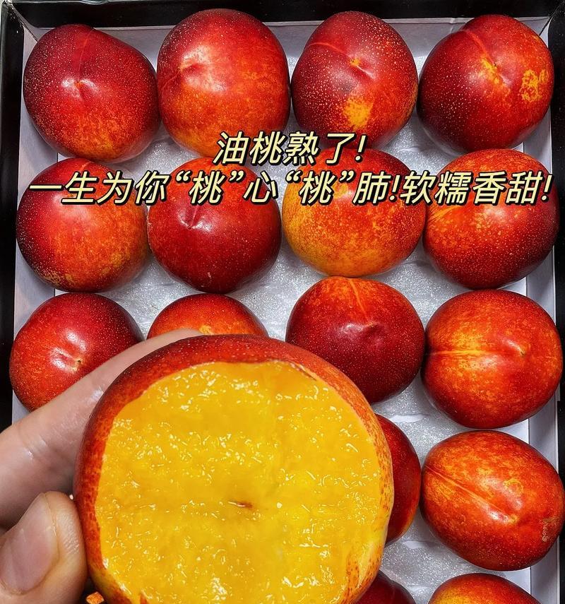 黄心油桃催芽的最佳方法是什么？