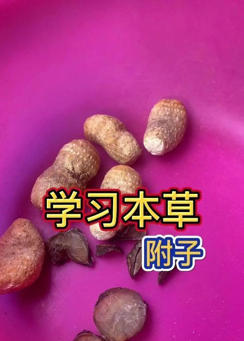 生附子催芽方法是什么？需要多长时间才能发芽？