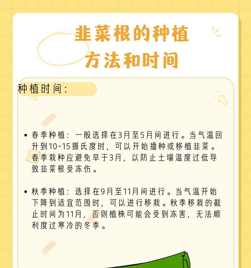 韭菜根种植方法有哪些？如何正确种植韭菜根以确保生长？