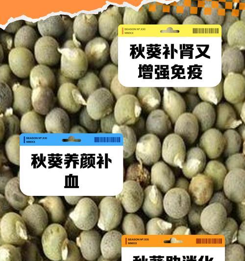 黄秋葵种子催芽方法是什么？需要多长时间才能发芽？