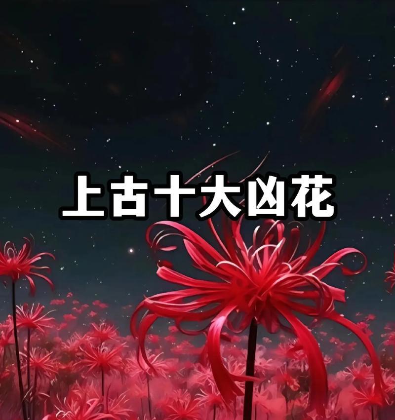 缀化花的寓意和花语是什么？如何挑选寓意吉祥的缀化花？