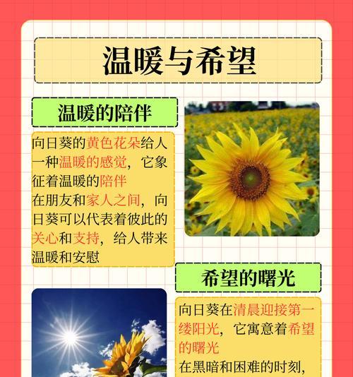 缀化花的寓意和花语是什么？如何挑选寓意吉祥的缀化花？