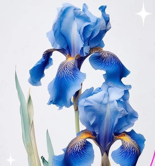 象征爱情有结果的花朵是什么花？哪种花代表爱情的圆满结局？