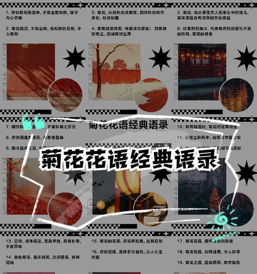 橘花花语代表了什么样的爱情？如何解读橘花的浪漫含义？