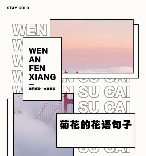 橘花花语代表了什么样的爱情？如何解读橘花的浪漫含义？