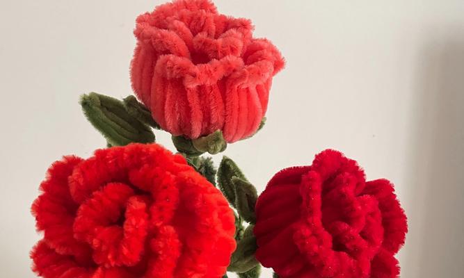 扭扭棒芙蓉花象征什么？它的寓意有哪些？