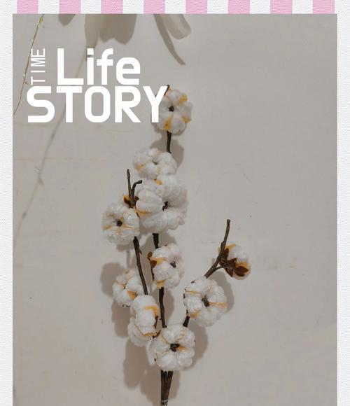 扭扭棒芙蓉花象征什么？它的寓意有哪些？