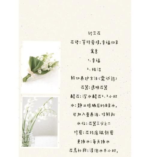 铃兰花发夹的花语是什么？购买时需要注意什么？