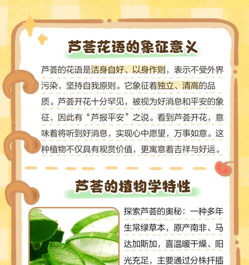 独立美丽花语是什么？如何理解其深层含义？