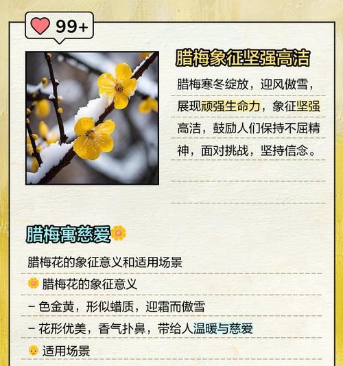 独立美丽花语是什么？如何理解其深层含义？