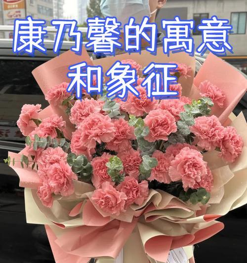 出云花的寓意和象征是什么？如何解读其文化含义？