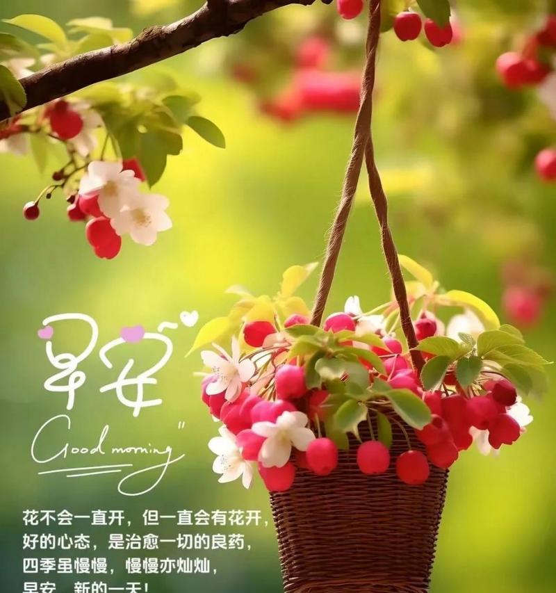 什么花语代表心态好？揭秘能带来积极心态的花卉含义？