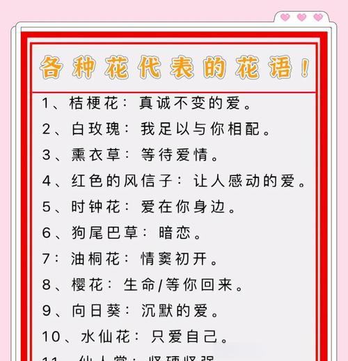 送花的意义花语是什么？如何根据场合选择合适的花朵？