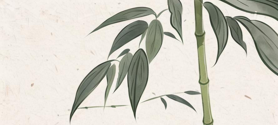 道家寓意的花是什么花？如何理解道家文化中的花卉象征？