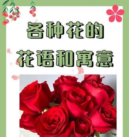 瓷花的寓意是什么？瓷花象征着什么含义？