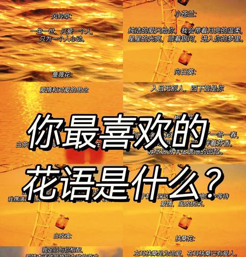 香气袭人花语是什么？如何用花语表达爱意？