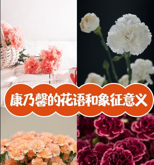 达斡族的象征花是什么？了解达斡族文化中的花卉意义？