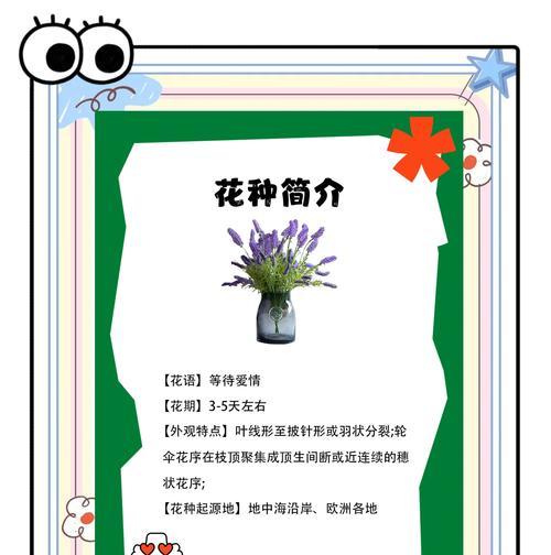 薰衣草罐子花语是什么？如何用它表达爱意？