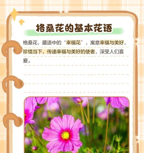 花语的寄托是什么意思？如何理解花语的深层含义？