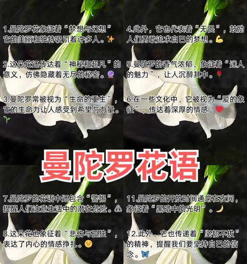 鼓励小孩的花语是什么？如何用花语激励孩子成长？