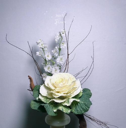 佛前供白色花的寓意是什么？白色花在佛教中代表什么意义？