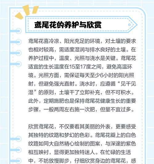 鸢尾草花语是什么？鸢尾花代表的含义有哪些？
