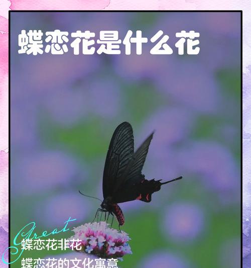 什么花象征着禁忌的爱？揭秘那些代表禁忌之恋的花卉含义？