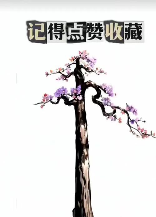 盆景枝干的正确养护方法是什么？