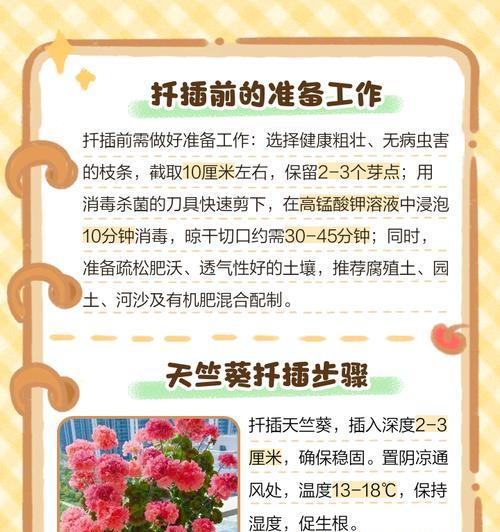 天竺葵茎杆细弱的处理和养护方法？