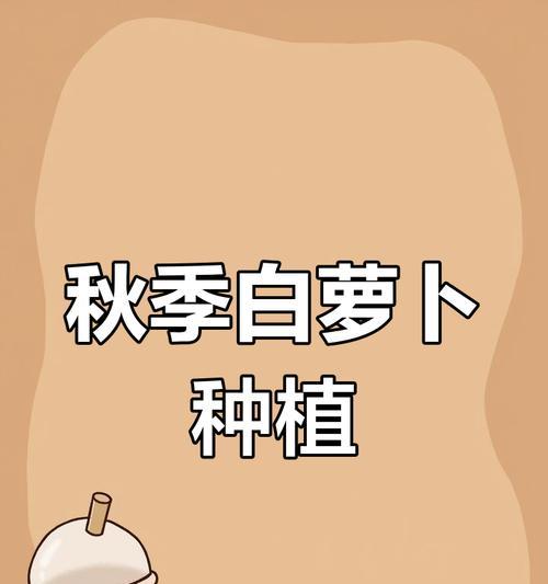什么时间萝卜播种最好呢？最佳播种时间对萝卜生长有何影响？
