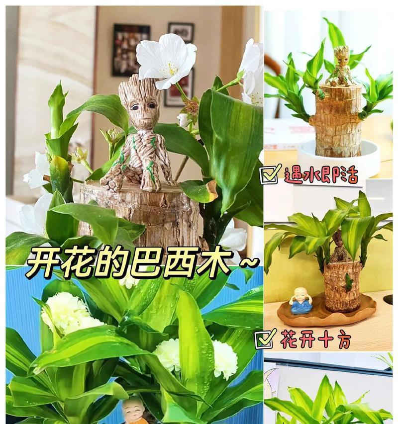 盆景架懒人椅的安装步骤是什么？