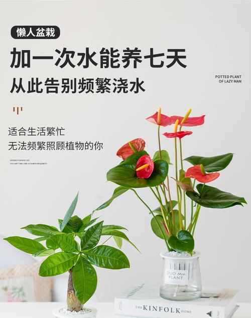 盆景架懒人椅的安装步骤是什么？
