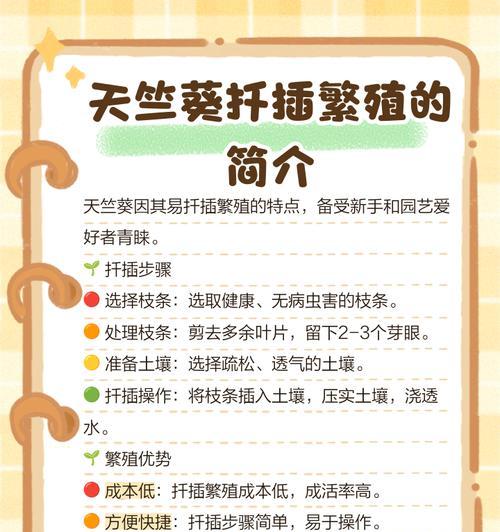 天竺葵正品种子播种方法是什么？