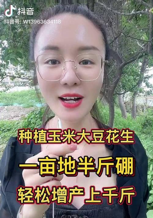 水稻玉米栽培技术要点是什么？
