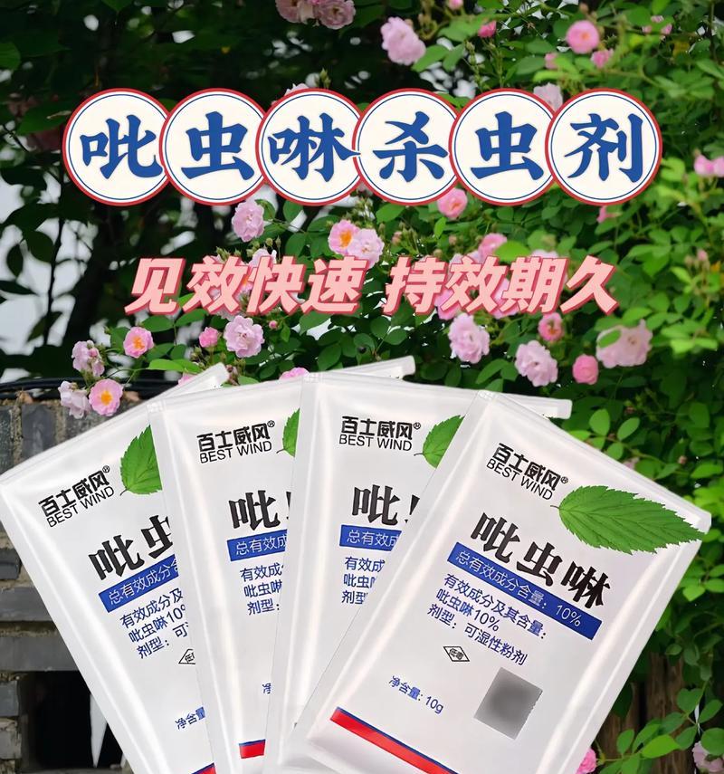 三角梅蚜虫怎么彻底消灭？有效防治方法是什么？