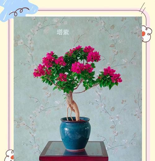 三角梅蚜虫怎么彻底消灭？有效防治方法是什么？