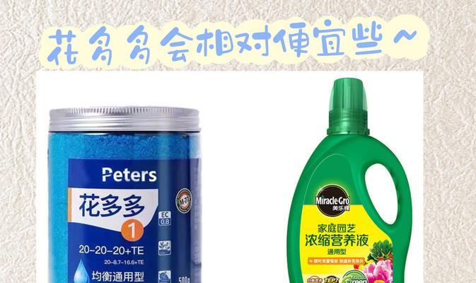 盆栽月季施肥的最佳时机？如何正确施肥以促进月季生长？