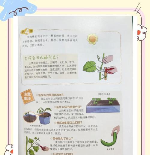黄瓜苗叶子发黄枯萎如何挽救？有哪些有效的挽救措施？