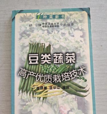 蔬菜高产栽培技术要点有哪些？如何提高产量？