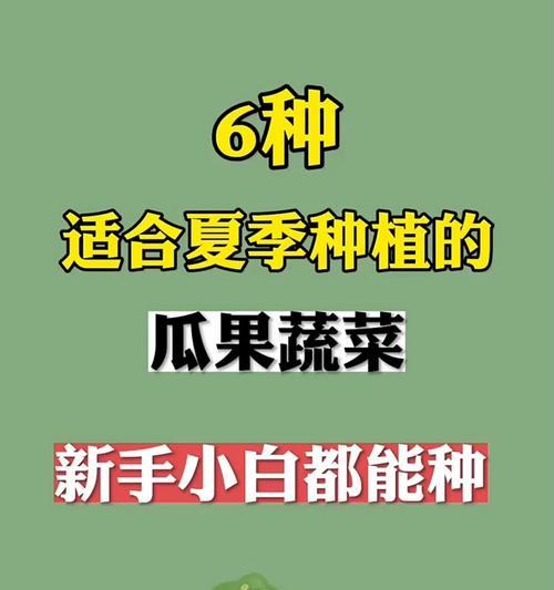 四川夏天适合播种哪些蔬菜？种植前需要了解什么？