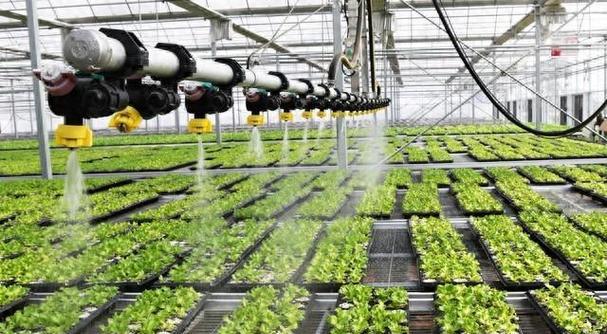 种蔬菜浇水的正确方法是什么？如何科学地为蔬菜浇水？