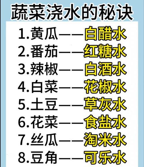 种蔬菜浇水的正确方法是什么？如何科学地为蔬菜浇水？