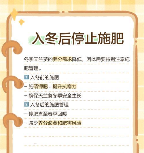 天竺葵公主冬季养护技巧是什么？怎样过冬？