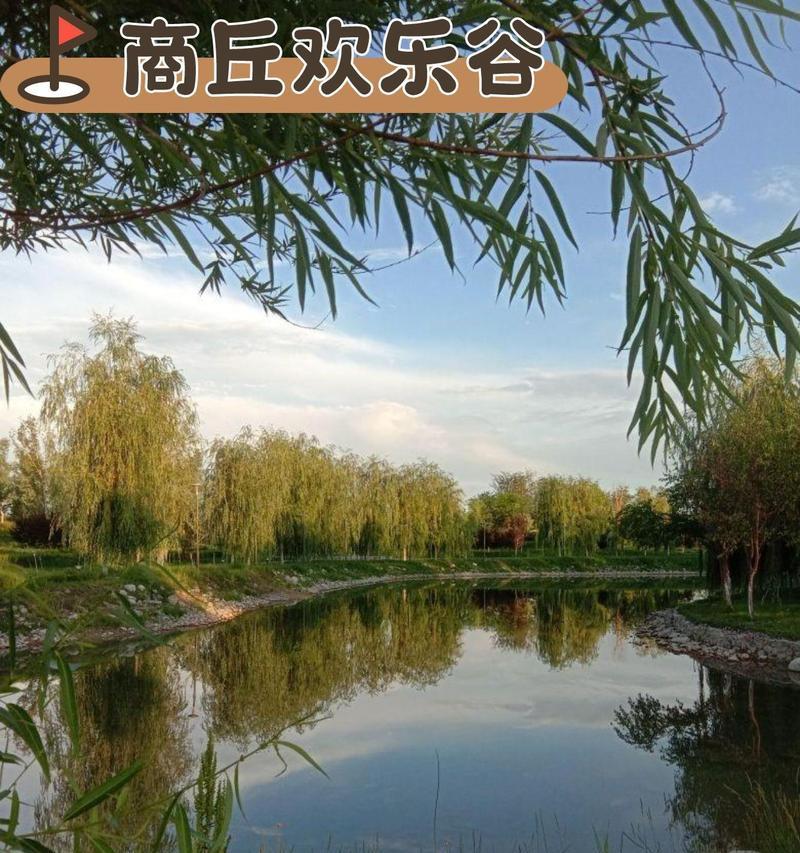 商丘地区适合种植哪些观赏植物？