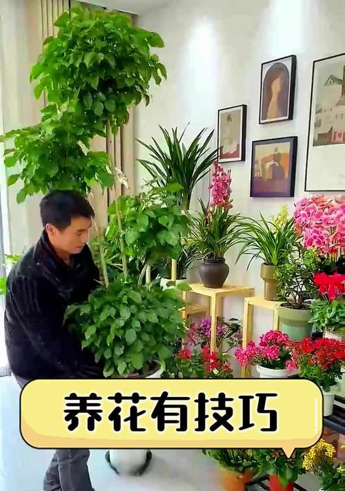 养花有哪些必备技巧？