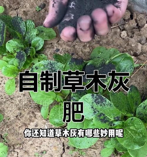 自制干净肥料的方法有哪些？