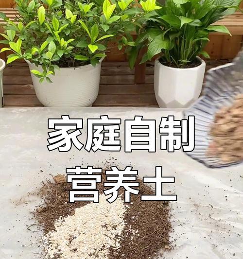 自制干净肥料的方法有哪些？