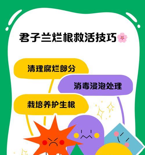怎么从君子兰的根部判断是否缺水？有哪些明显的迹象？